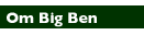 Om Big Ben Venture Partner