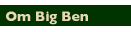 Om Big Ben Venture Partner
