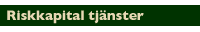 Riskkapital tjänster
